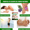 50 Parches KINOKI - Detox para Pies